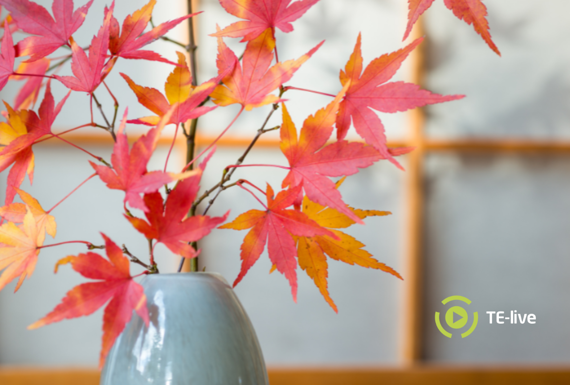 Syksyn 2022 yrittäjäkoulutukset Kainuussa