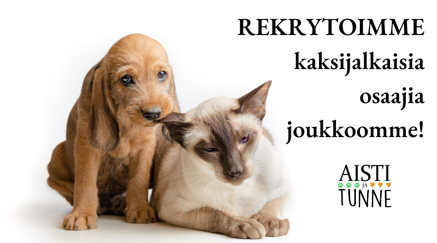 Aisti ja Tunne etsii monitaitoista eläinten hyvinvoinnin asiantuntijaa