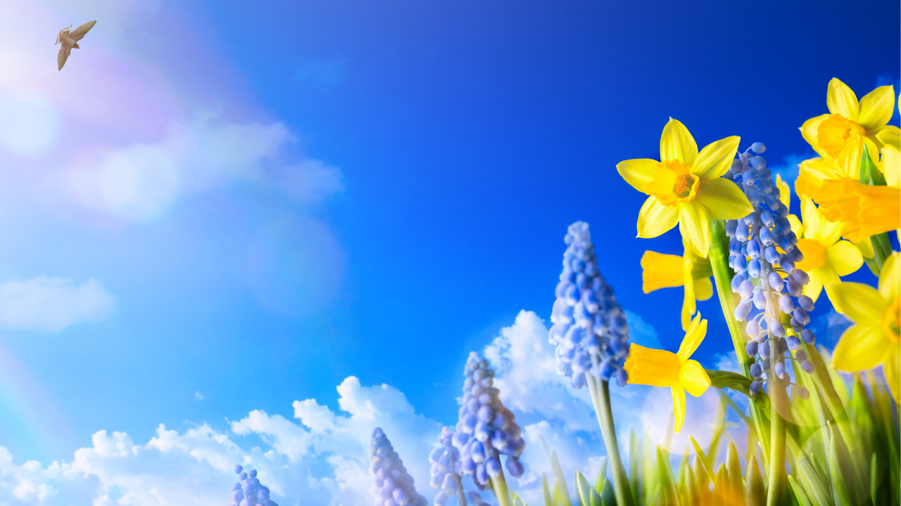 Kevään 2024 yrittäjyyskoulutukset Kainuussa