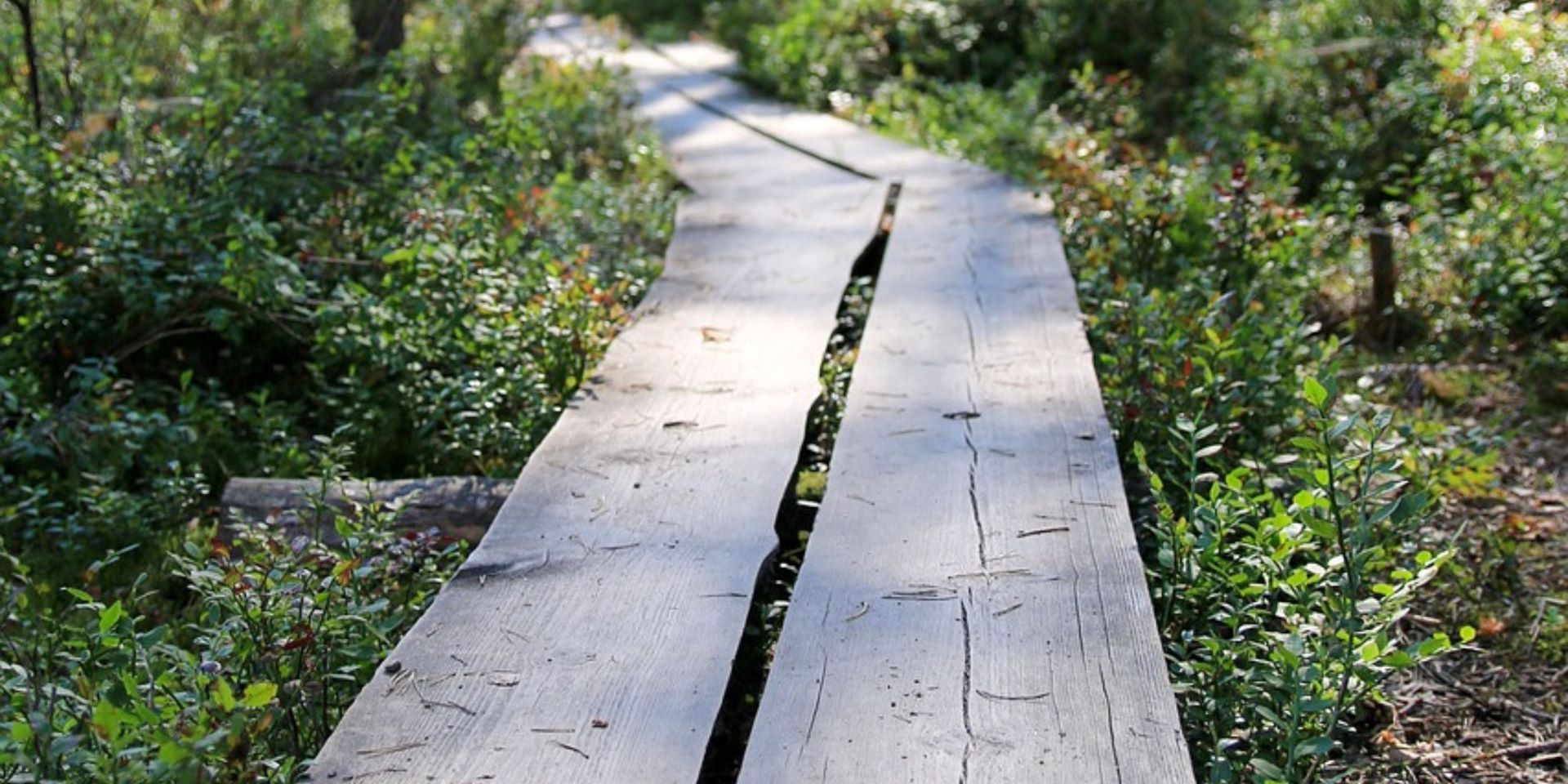 Uusi vuosi ja vuodenvaihteen TE-palvelujen uudistus – uutta puhtia tekemiseen