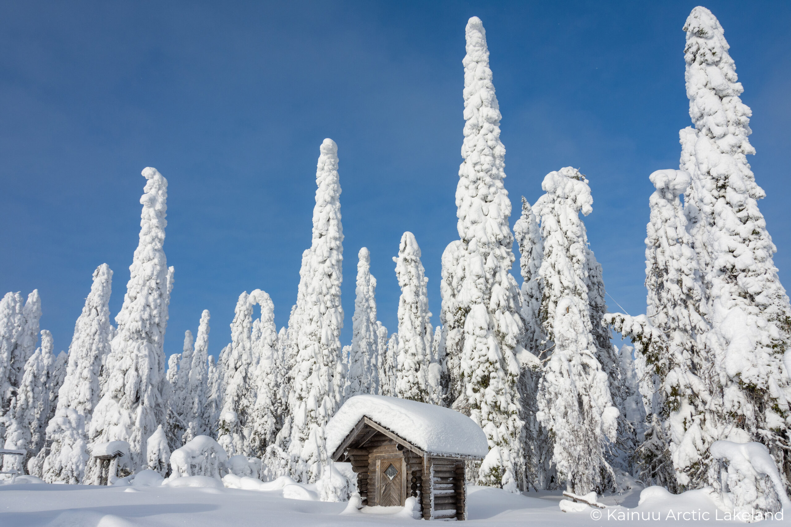 TE-toimistot lakkaavat 31.12.2024 – työllisyyspalvelut hoidetaan jatkossa Kainuun ja Koillismaan kunnissa